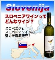 スロベニアワイン